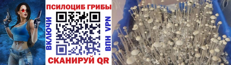 MEGA ссылки Старая Купавна Галлюциногенные грибы Cubensis как найти наркотики