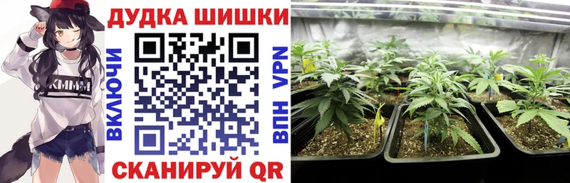 Шишки марихуана план  что такое   Старая Купавна 